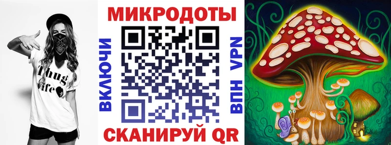 Псилоцибиновые грибы мицелий  продажа наркотиков  Балей 