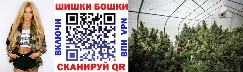 что такое наркотик  Балей  Шишки марихуана семена 